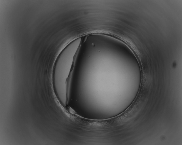 X0000097950898200804011632