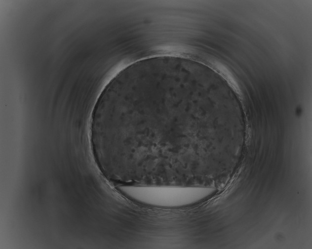 X0000097950899200804011632