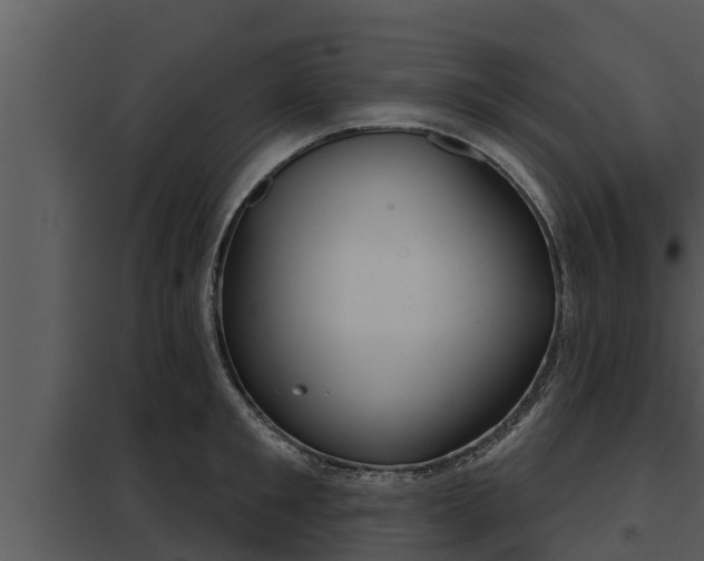 X0000097950901200804011632