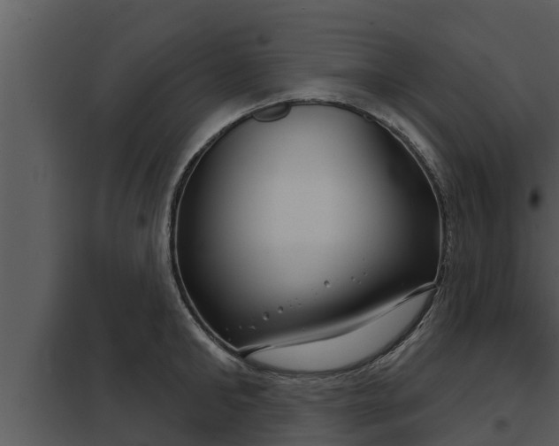 X0000097950902200804011632
