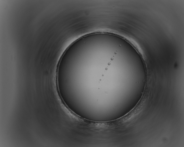 X0000097950903200804011632