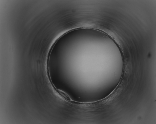 X0000097950904200804011632