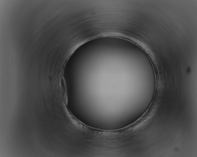 X0000097950905200804011632