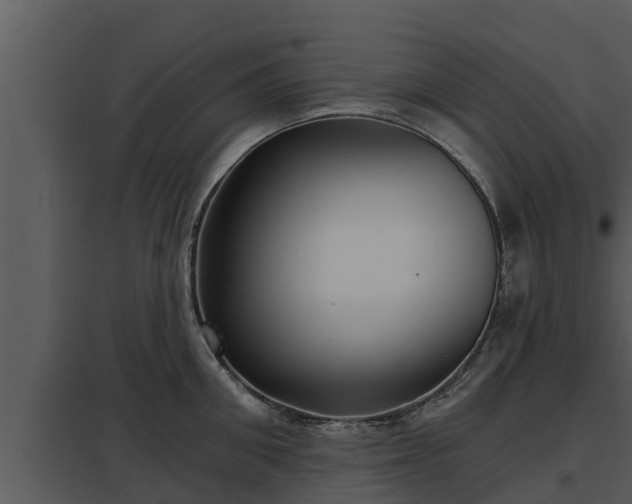 X0000097950906200804011632