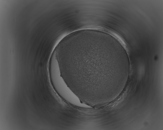 X0000097950907200804011632