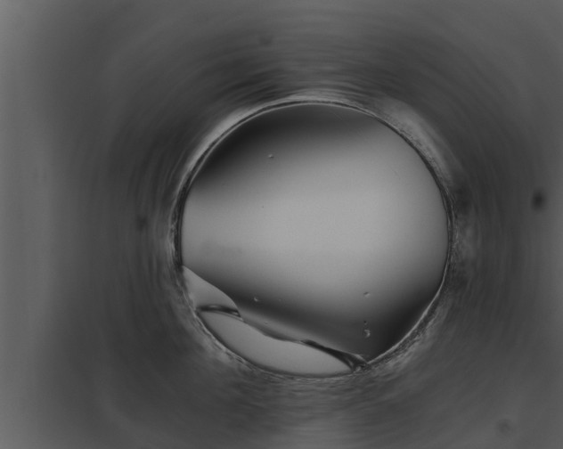 X0000097950908200804011632