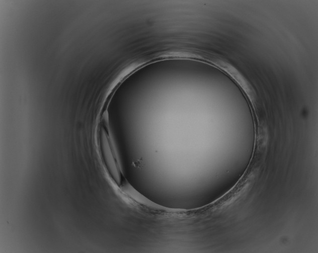 X0000097950909200804011631