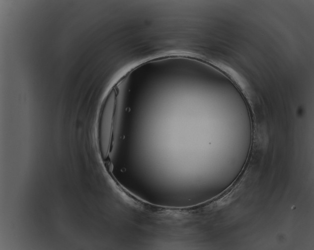 X0000097950910200804011631