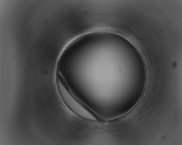 X0000097950912200804011631