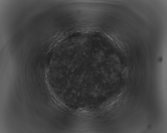 X0000097950913200804011631