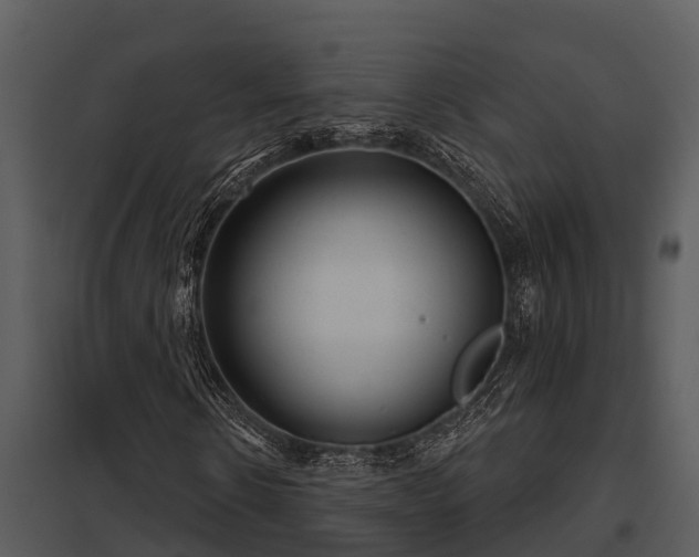 X0000097950914200804011631