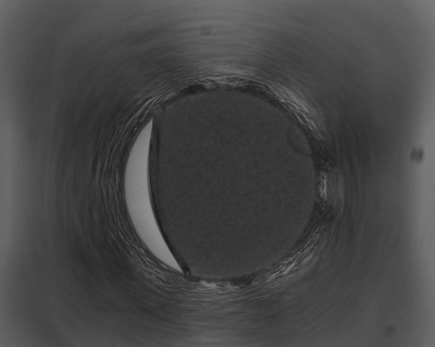X0000097950915200804011631
