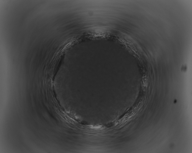 X0000097950916200804011631