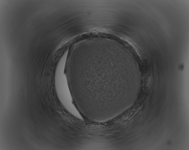 X0000097950919200804011631