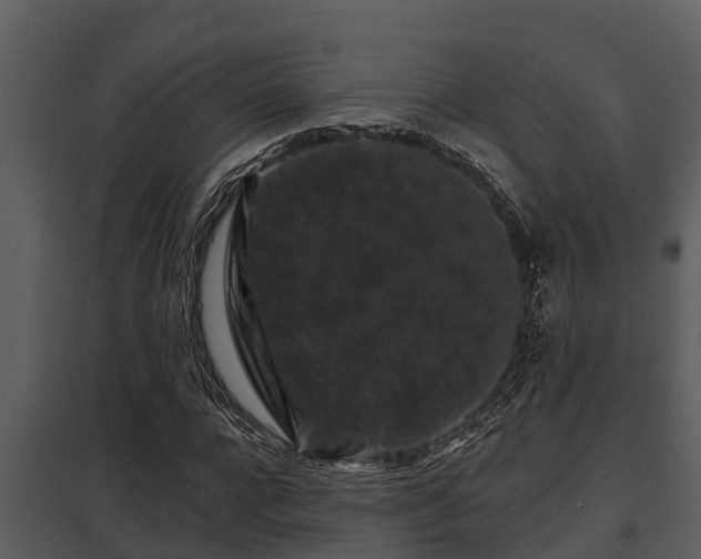 X0000097950920200804011631