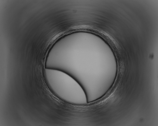 X0000097950921200804011631