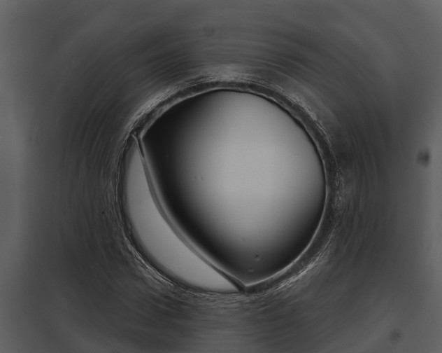 X0000097950922200804011631