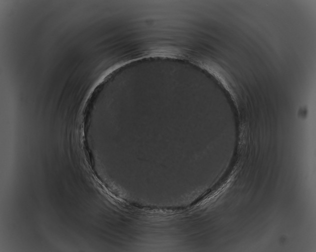 X0000097950923200804011631