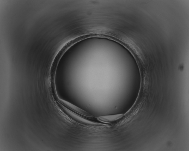 X0000097950924200804011631