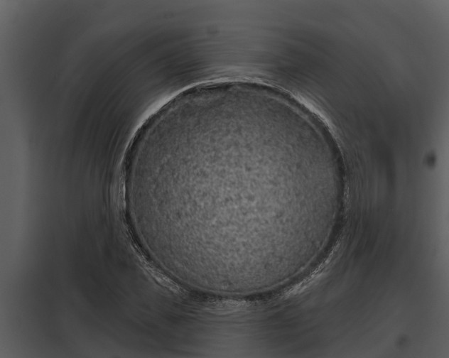 X0000097950925200804011631