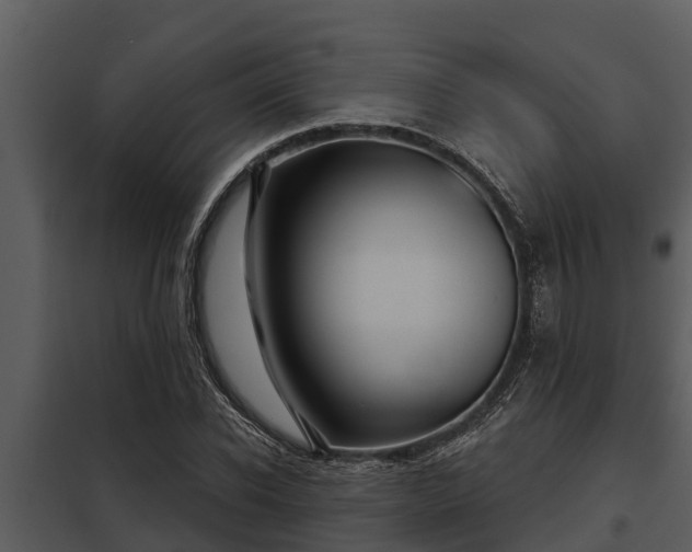 X0000097950926200804011631