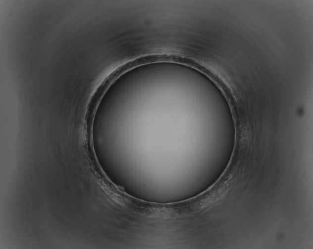 X0000097950927200804011631