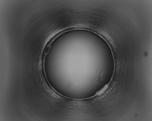 X0000097950928200804011631