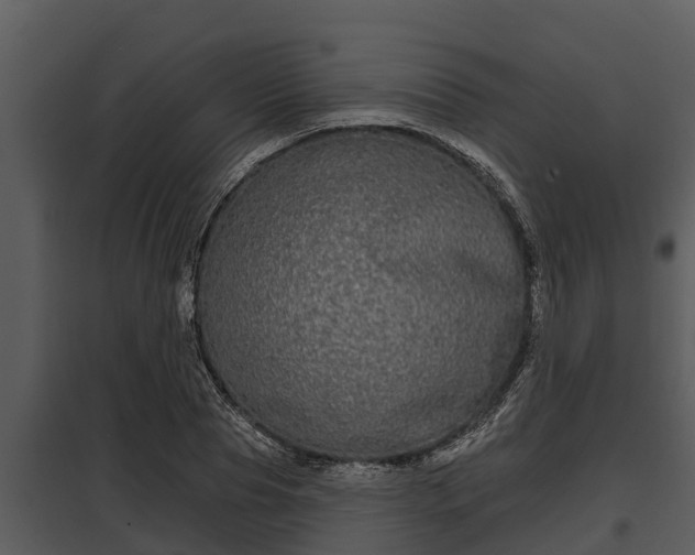 X0000097950929200804011631