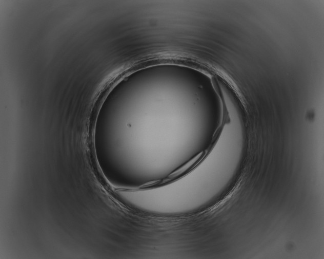X0000097950930200804011631