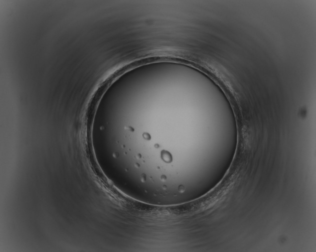 X0000097950931200804011631