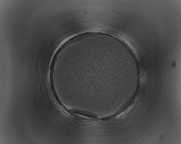 X0000097950932200804011631