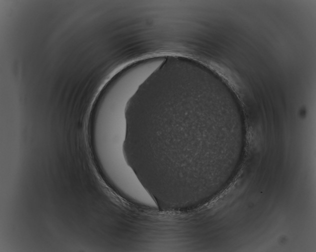X0000097950934200804011631