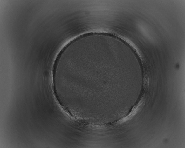 X0000097950935200804011631