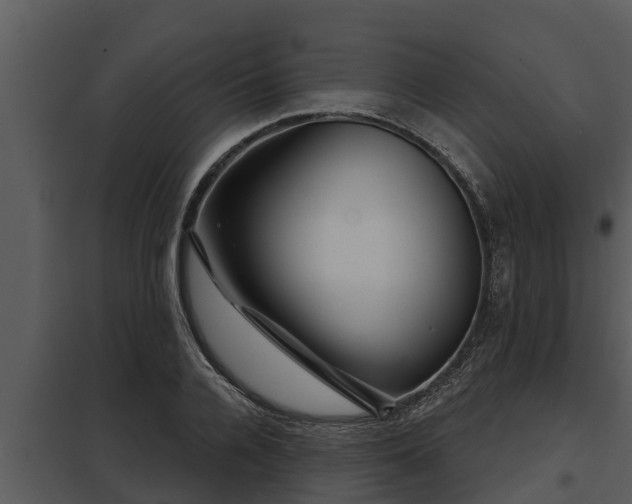 X0000097950936200804011631