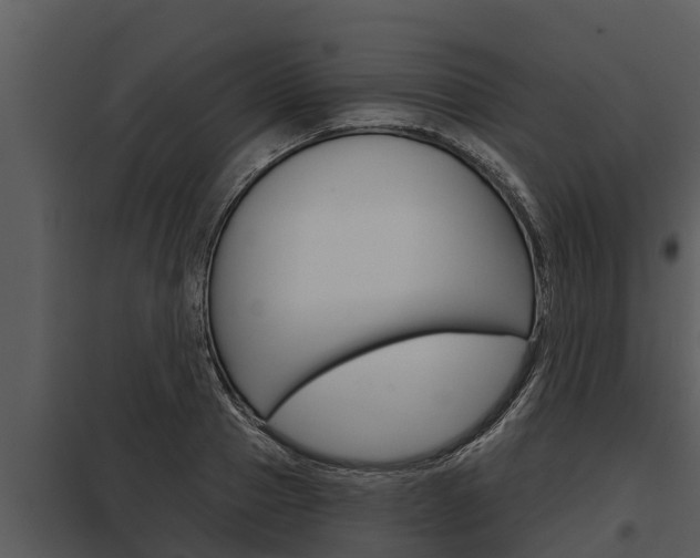 X0000097950937200804011631