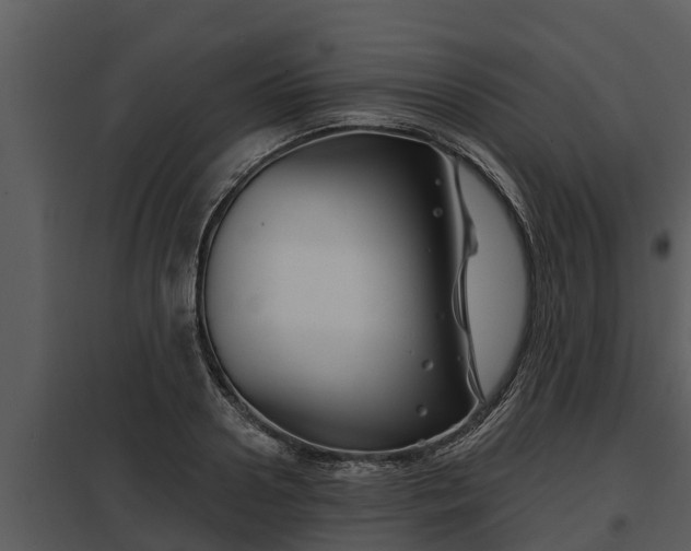 X0000097950938200804011631