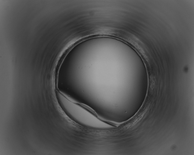 X0000097950939200804011631