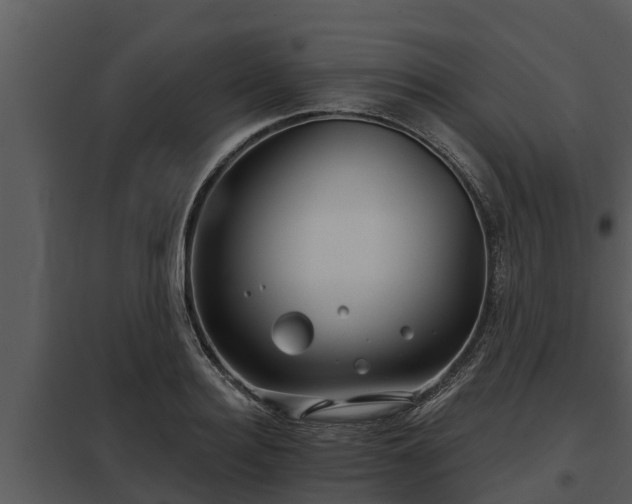 X0000097950940200804011631