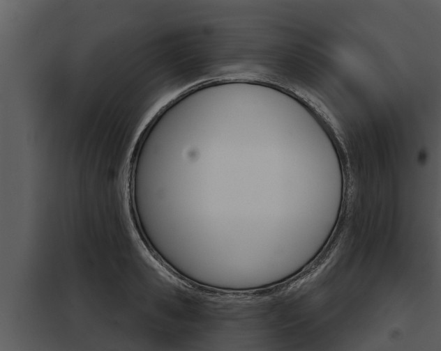 X0000097950941200804011631