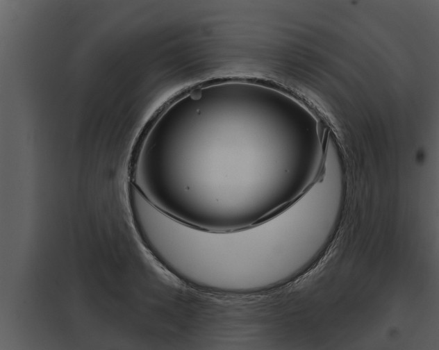X0000097950942200804011631