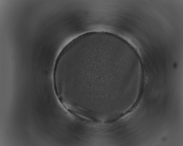 X0000097950943200804011631