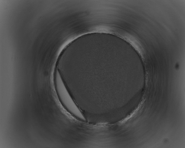 X0000097950944200804011631