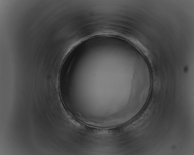X0000097950945200804011631