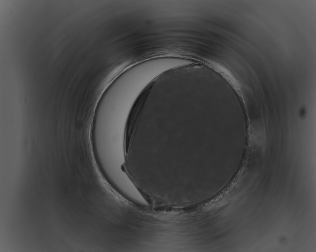 X0000097950946200804011631