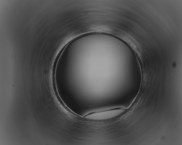 X0000097950947200804011631