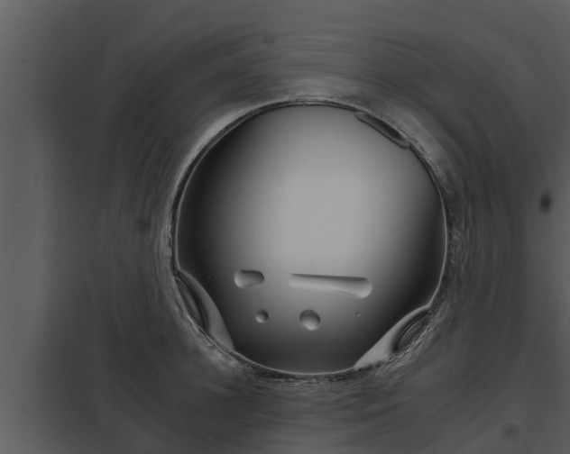 X0000097950948200804011631