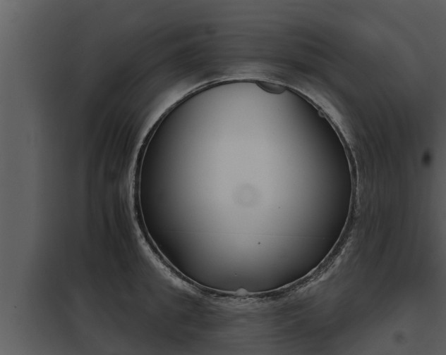 X0000097950949200804011631
