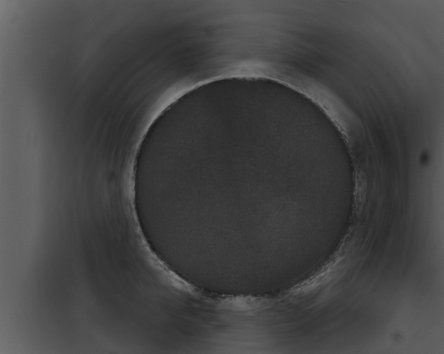 X0000097950950200804011631