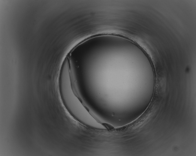 X0000097950951200804011631
