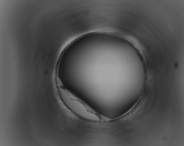 X0000097950952200804011631